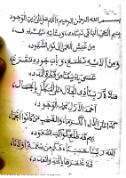 ترا منظمة 1.pdf